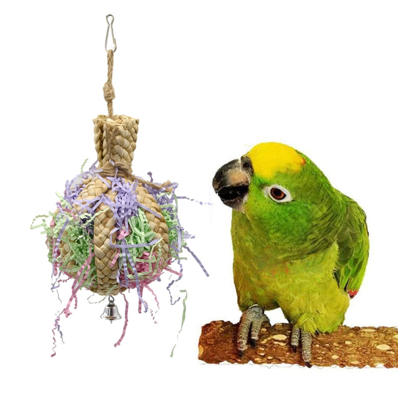 Keep Your Parrot Entertained for Hours with Our Safe and Durable Drawing Toy!