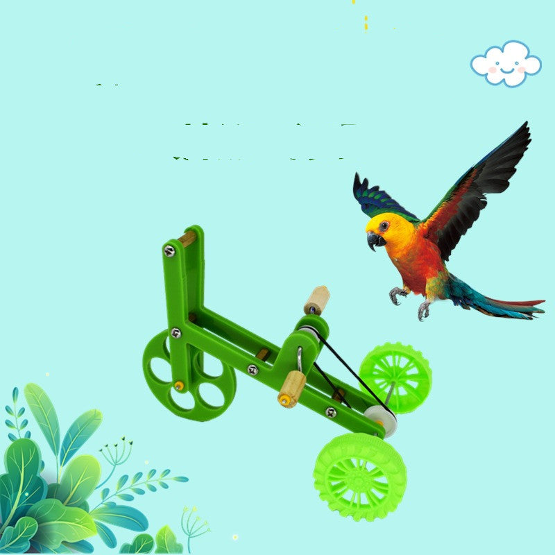 Elevate Your Parrot's Training Sessions with Our Training Bicycle Parrot Toy!