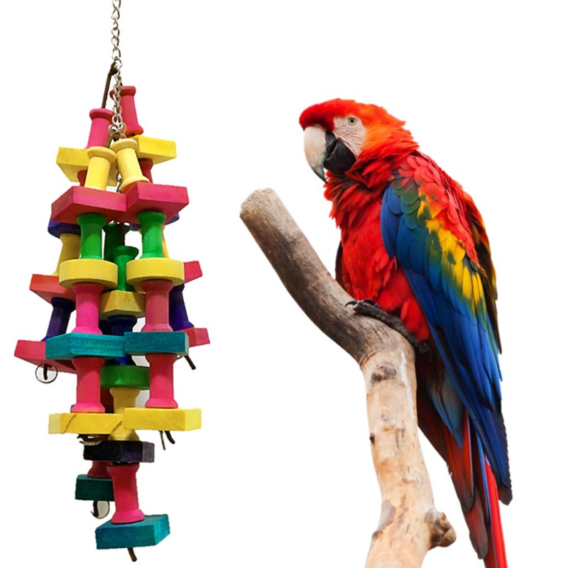 Keep Your Parrot's Beak Healthy and Happy with Our Durable Chewing Toy