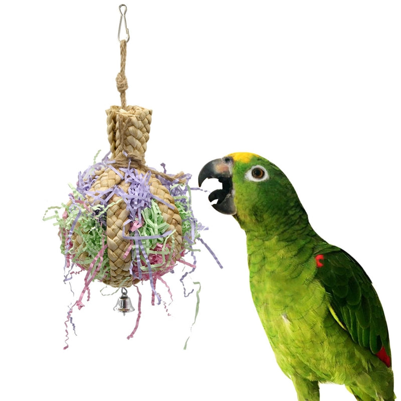 Keep Your Parrot Entertained for Hours with Our Safe and Durable Drawing Toy!